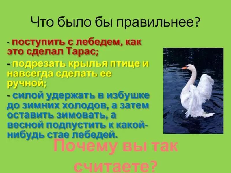 Пересказ рассказа приемыш 4. Мамин Сибиряк приемыш 4 класс школа России. Урок мамин Сибиряк приемыш 4 класс школа России. План приёмыш 4 класс мамин Сибиряк. Приёмыш мамин Сибиряк план.