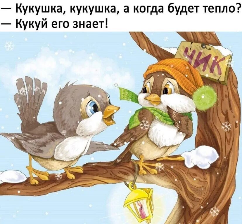 Ты кукуй кукушка все равно. Когда будет тепло. Кукушка Кукушка когда будет тепло. Детские картинки птицы. Воробей иллюстрация.