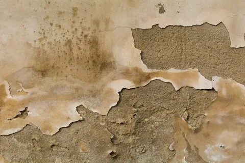 Old wall