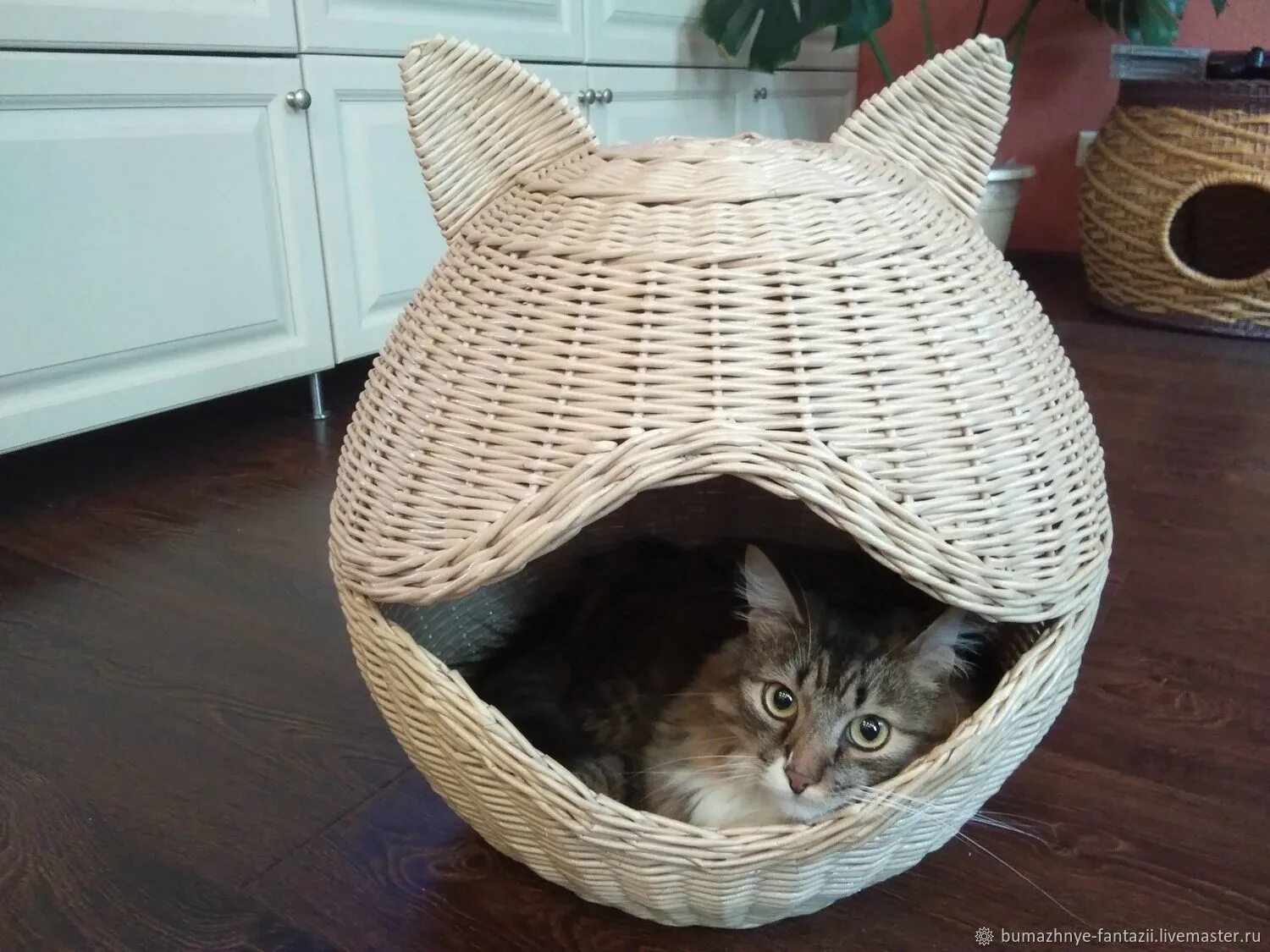 Кошачий домик из коробок. Картонный домик для собаки. Домик для кошки из картонной коробки. Дом для кота из картона. Картонный домик для кошки.
