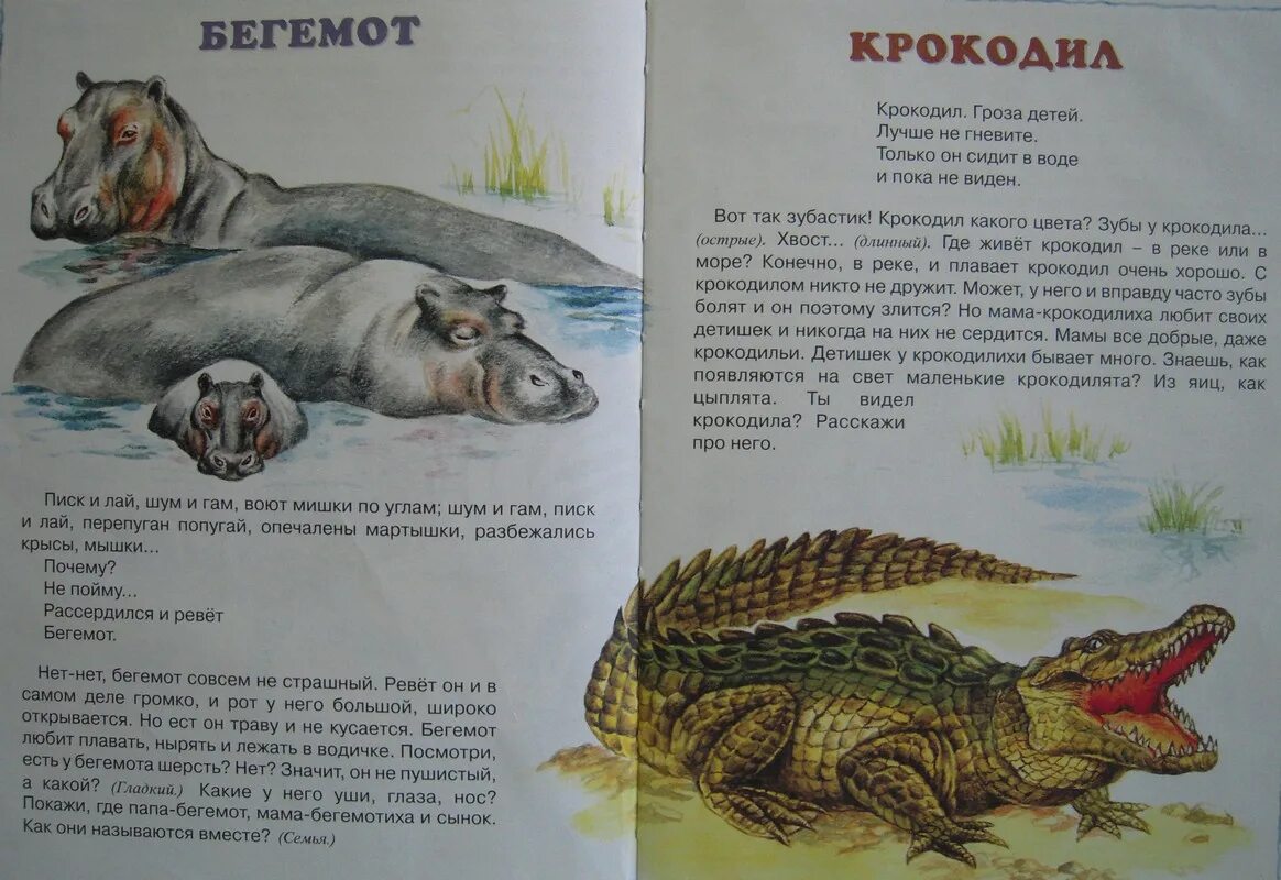 Крокодила друг песня