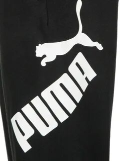 Бирки пума