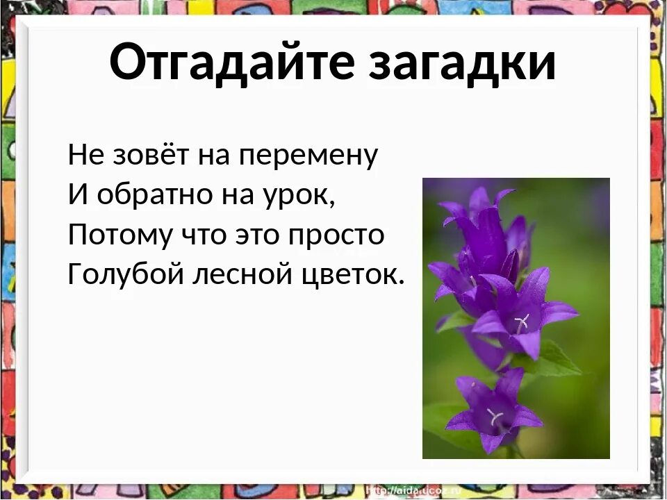 Загадки про цветы. Загадка про колокольчик для детей. Загадки о полевых цветах. Загадка про колокольчик цветок.