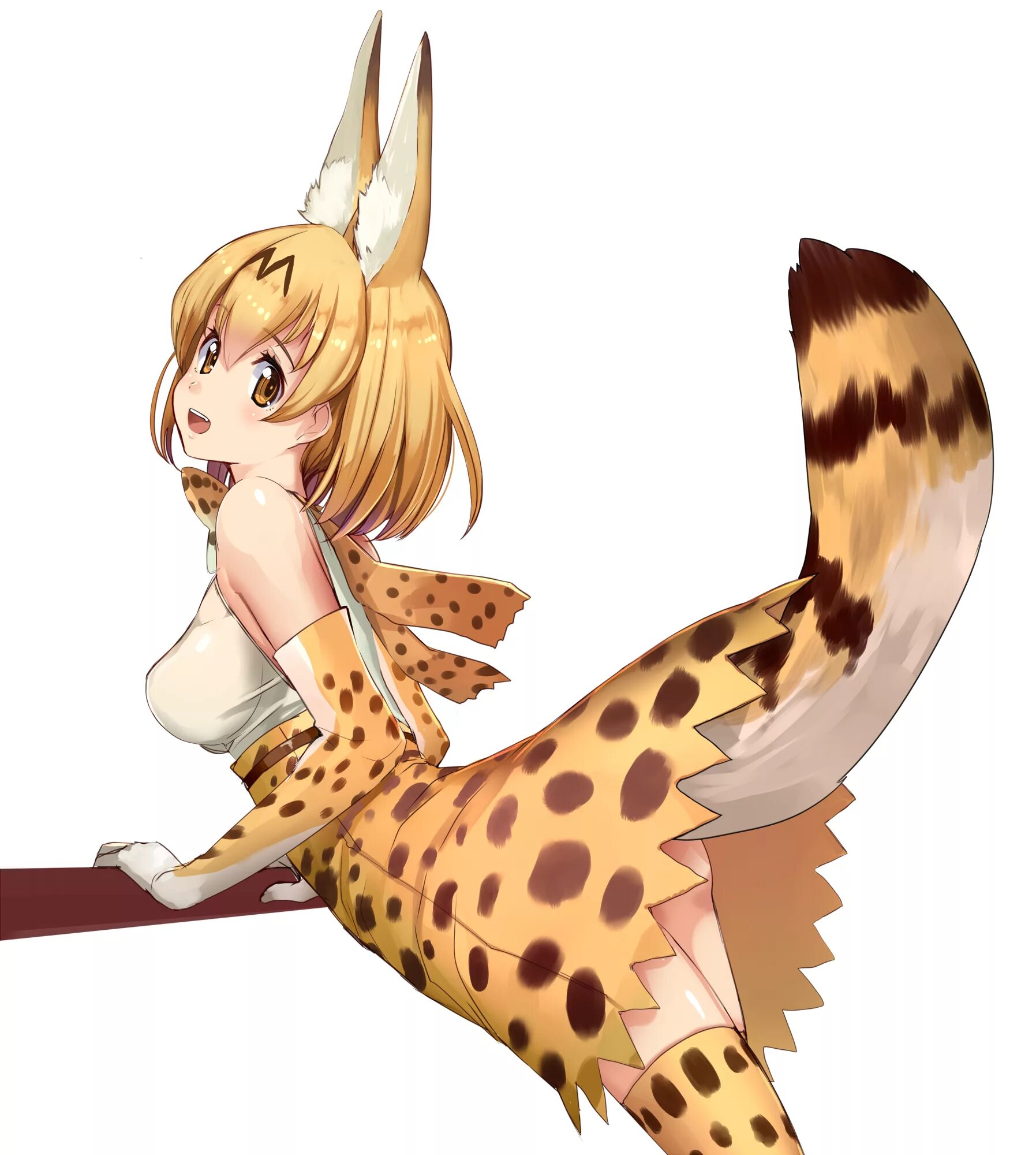 Kemono не обновляется. Сервал kemono. kemono friends сервал. сервал кимоно френдс.