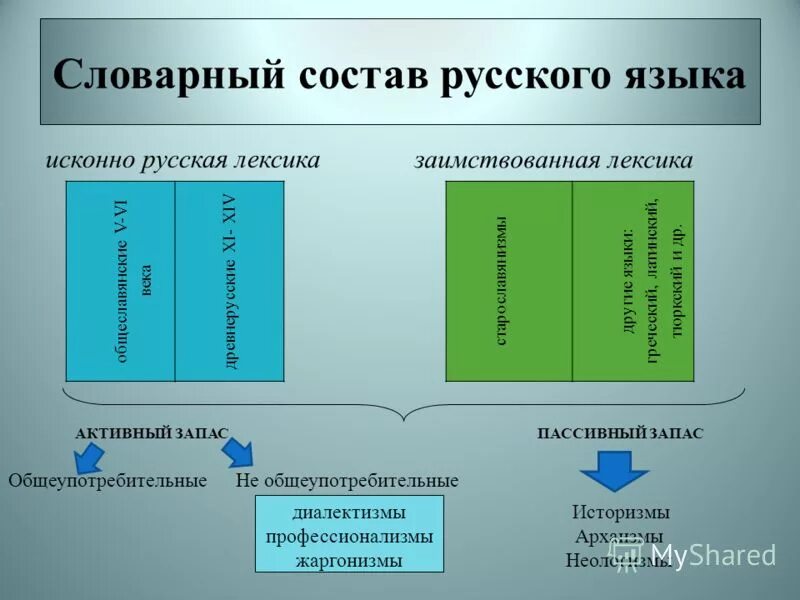 Активный запас. Словарный состав русского языка. Активный и пассивный словарный запас. • Активный словарный состав языка. Лексический состав русского языка.