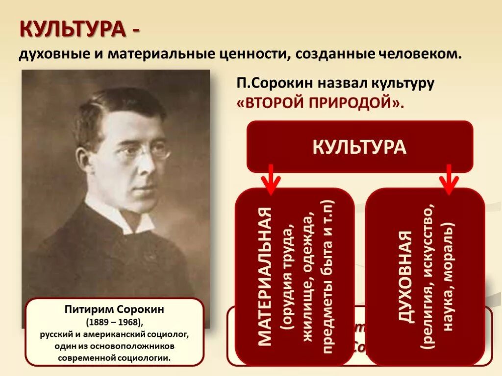 Какую культуру создал человек