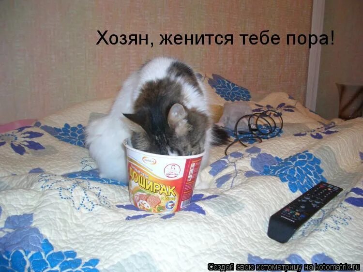 афоня и штукатур коля. жениться тебе пора барин. жениться вам надо барин. жениться тебе надо барин. жениться пора демотиватор.