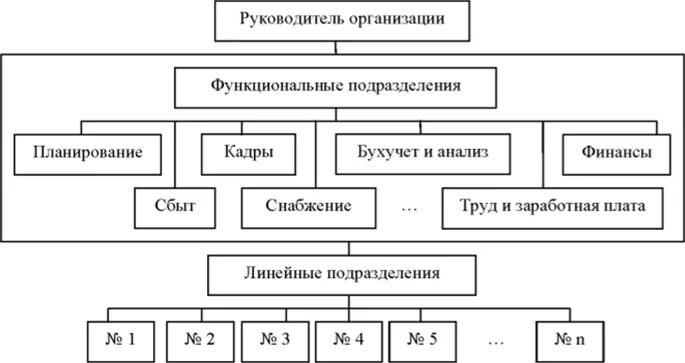 Функциональное руководство организацией. Функциональные подразделения предприятия. Функциональные отделы предприятия. Функциональные подразделения организации (предприятия).. Функциональное подразделение организации примеры.