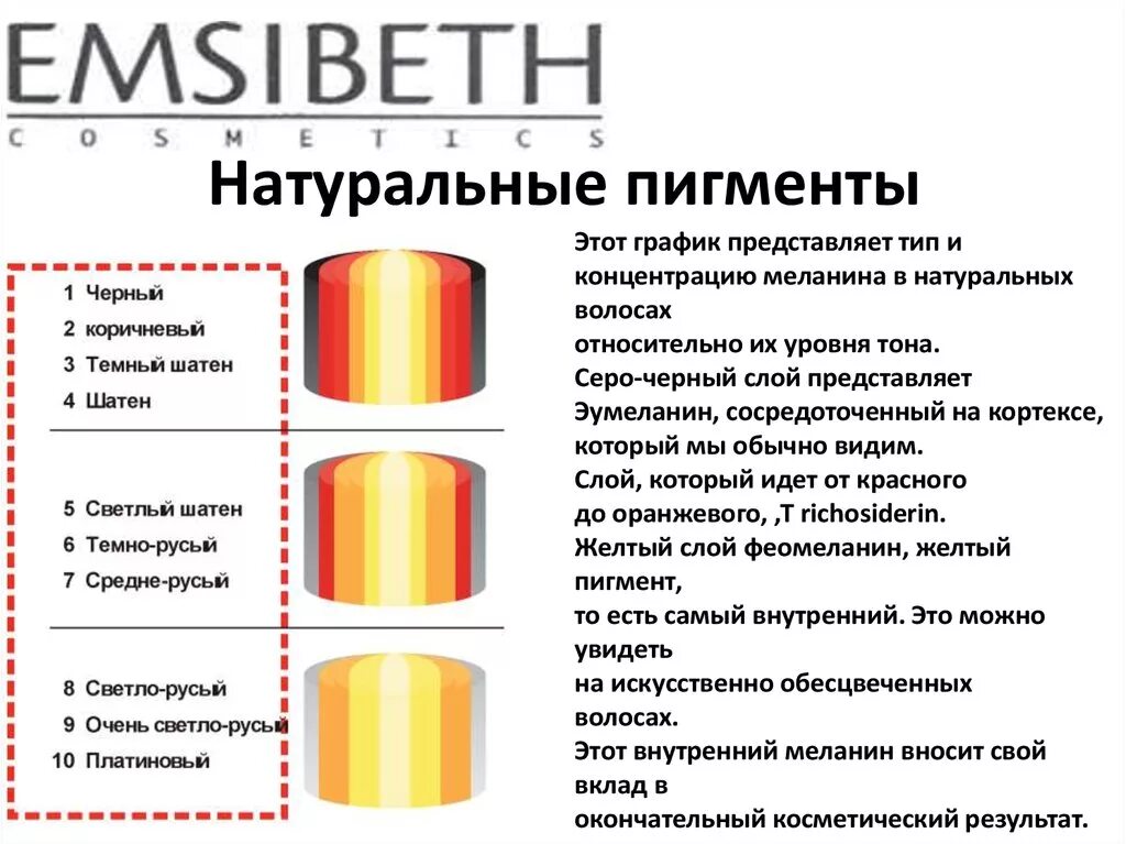 Какие пигменты в волосах