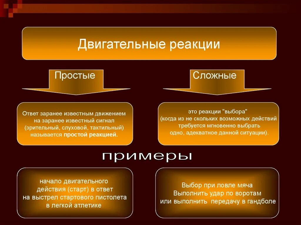 Примеры сложной двигательной реакции. Типы двигательных реакций. Простая двигательная реакция. Примеры простой двигательной реакции.