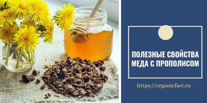 Прополис от зубной боли. Мёд с прополисом полезные свойства. мед с экстрактом прополиса. прополисовый мед лечебные свойства. чем полезен прополисный мед.