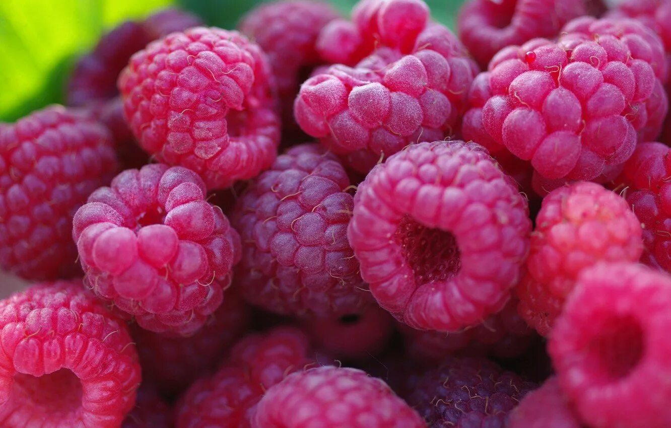 Розовая малина. Малина крупные ягоды. Розовая малина. Цветная малина. Красивые обои.