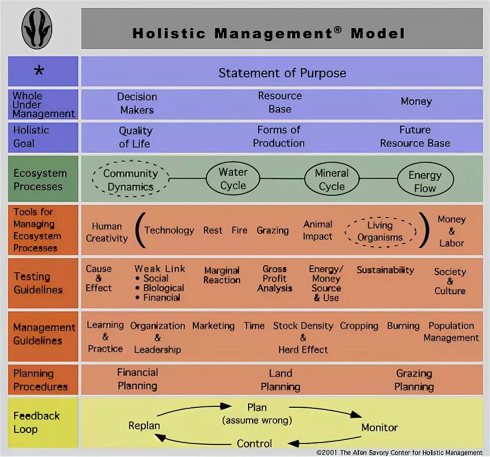 Holistic menedgment. Holistic ecological Management. Holistic_resource_. Генетика холистика. Whole system