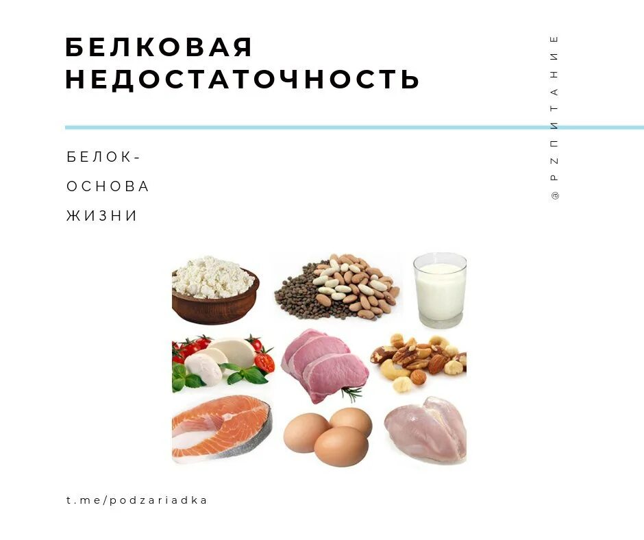 Белки в организме. Дефицит белков в рационе питания. Белки роль в питании. Питание без белка последствия. Важность белков в питании.