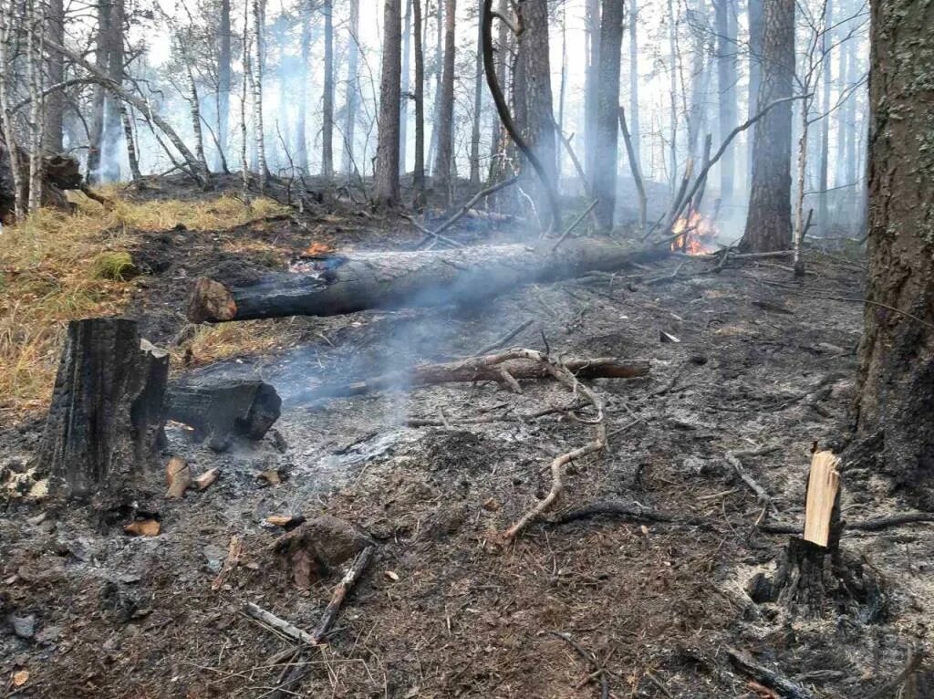 Пожар на ильменском проезде. Пожар на проспекте вернадского. Пожар в ижевске. Пик пожар. Пожар в москве.