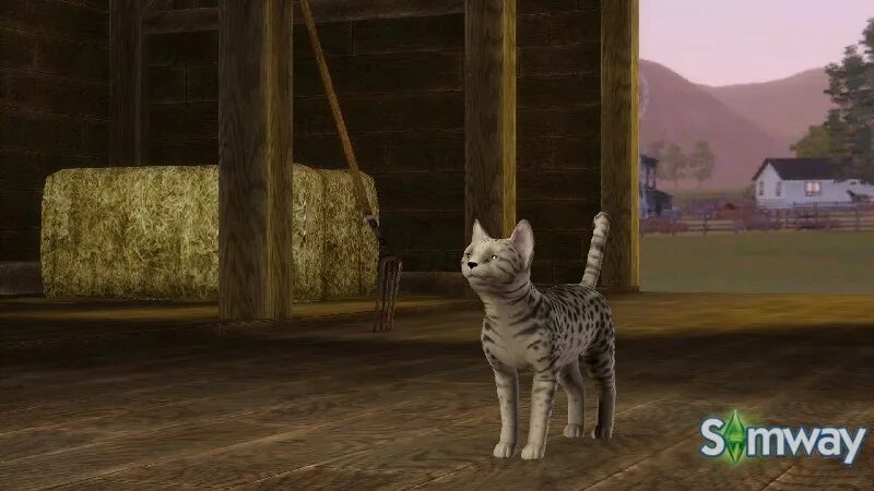 Симс 4 котенок. Симс 4 кошки и собаки. Симс 4 котенок. Кот симс 3. Sims 4 кошка.