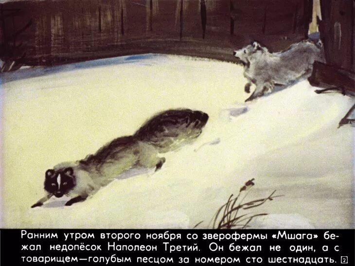 Недопесок читать. Недопёсок наполеон 3. Коваль ю. Коваль недопесок книга. Недопесок читать.