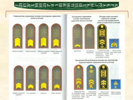 Клаудиа Шиффермен порно