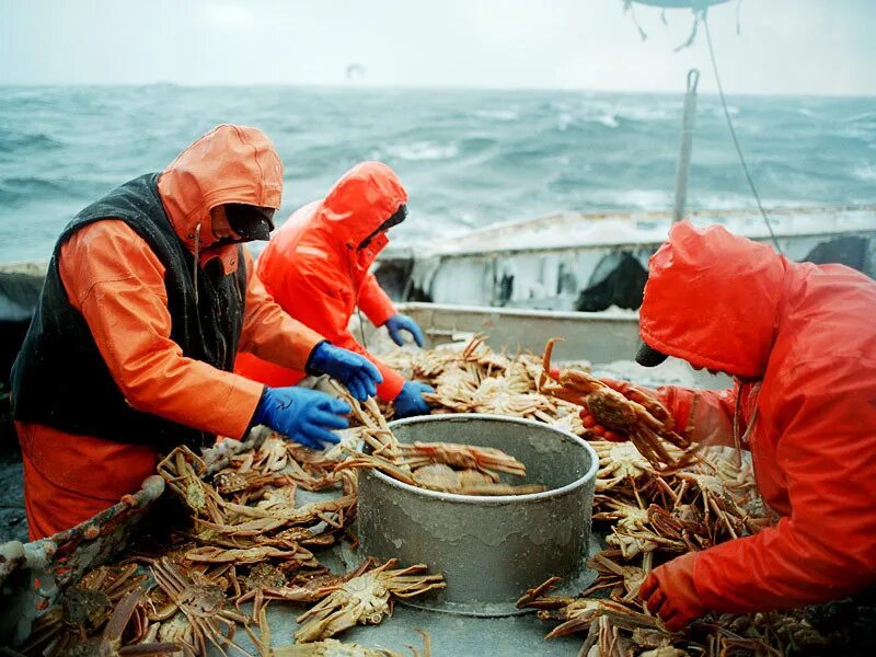 морская хозяйственная деятельность. морская хозяйственная деятельность. рыбный промысел в атлантическом океане. рыбаки в море. хозяйственная деятельность арктики.