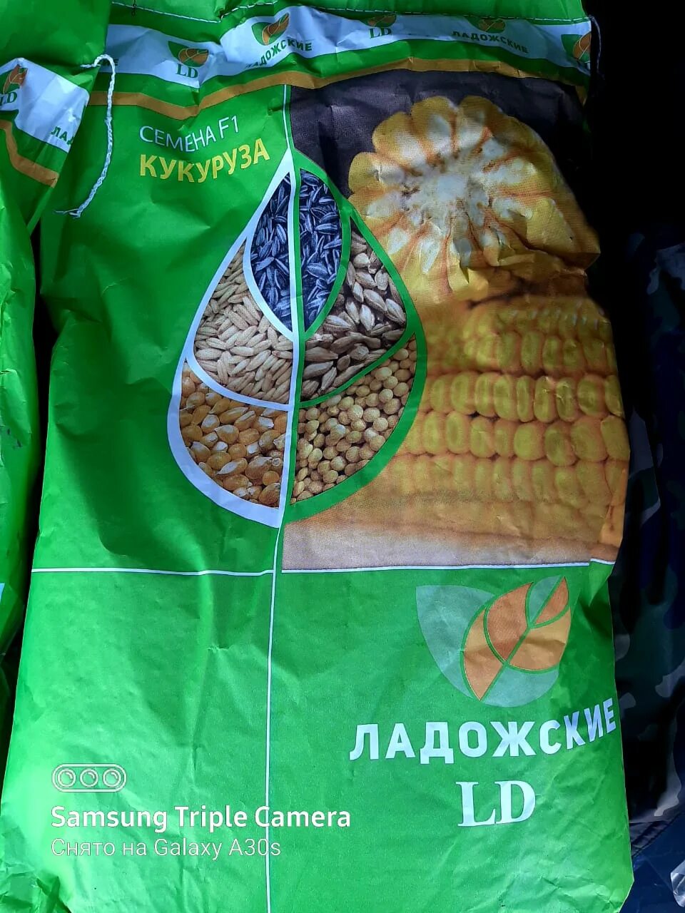 гибрид кукурузы кр315мв. ладожский 270 мешок кукуруза. ладожские семена кукурузы. семена ладожские. сименс семена кукурузы.