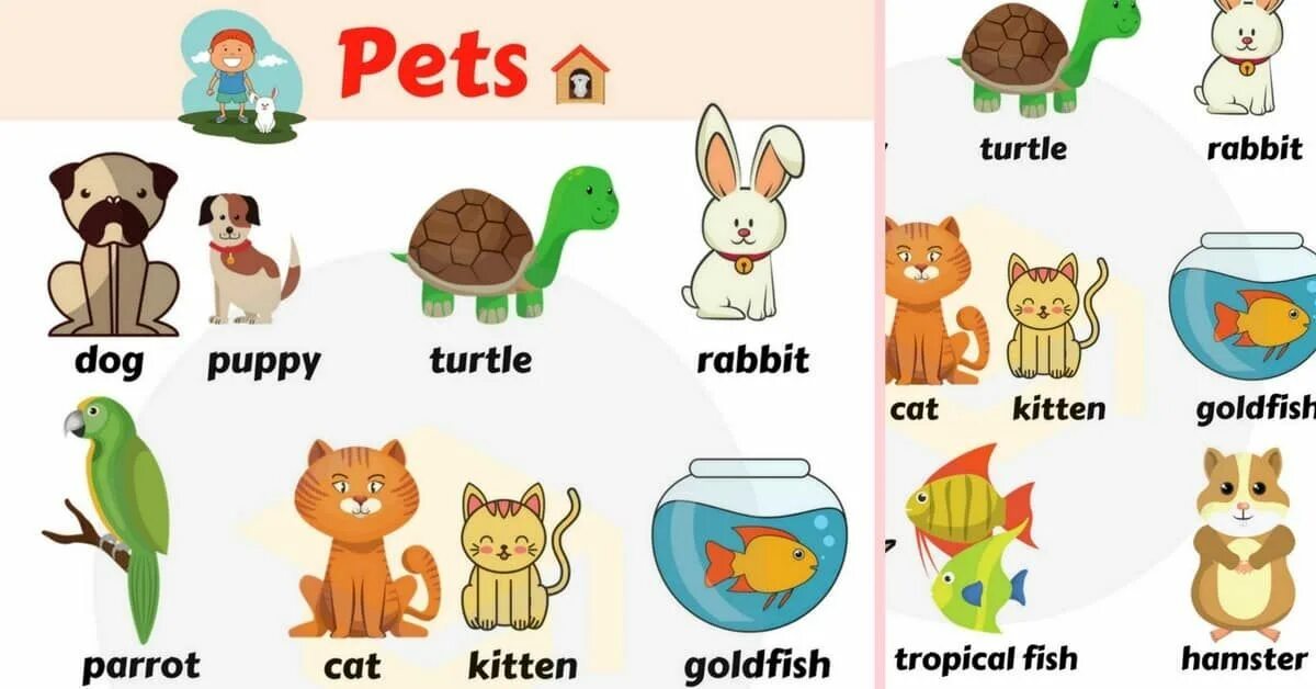 Карточки Pets для детей. Питомцы на английском. Домашний питомец на английском. Английский для малышей my Pet. Type of pet