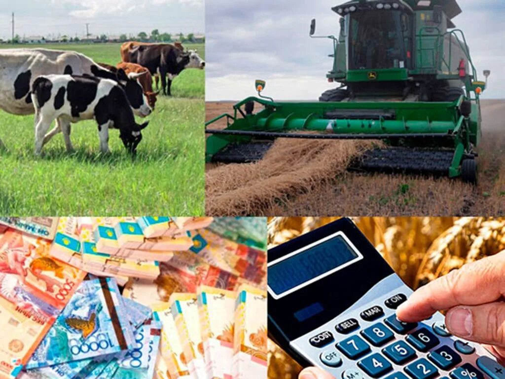 Основы сельскохозяйственной продукции. Сх предприятие. экономика сельского хозяйства. производство сельскохозяйственной продукции. производитель сельскохозяйственной продукции.
