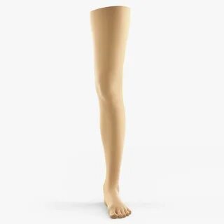 Leg 1 7
