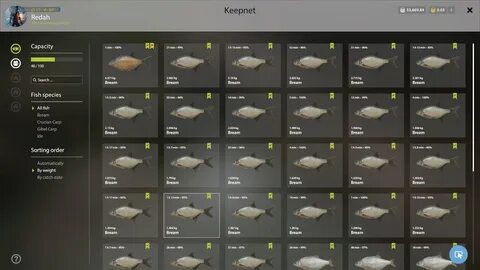 Рр4 приманки