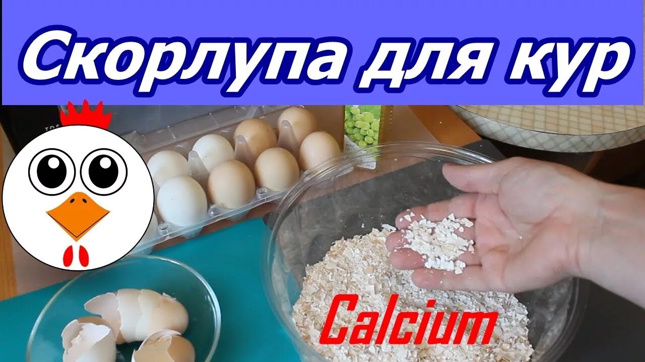 Можно курицам давать скорлупу. Скорлупа для кур. Цыпленок в яичной скорлупе. Скорлупки от яиц курам. Яичная скорлупа для кур этикетка.