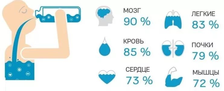 Сколько человеку надо пить воду. Норма воды в день. Сколько нужно пить воды. Норма выпитой воды в день. Норма воды в день для человека.