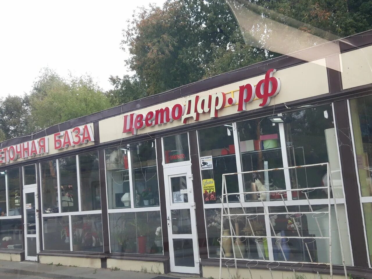 цветы малаховка. цветы малаховка. 101 роза эспана. анна мария малаховка цветы. яркие букеты на 6000 рублей.