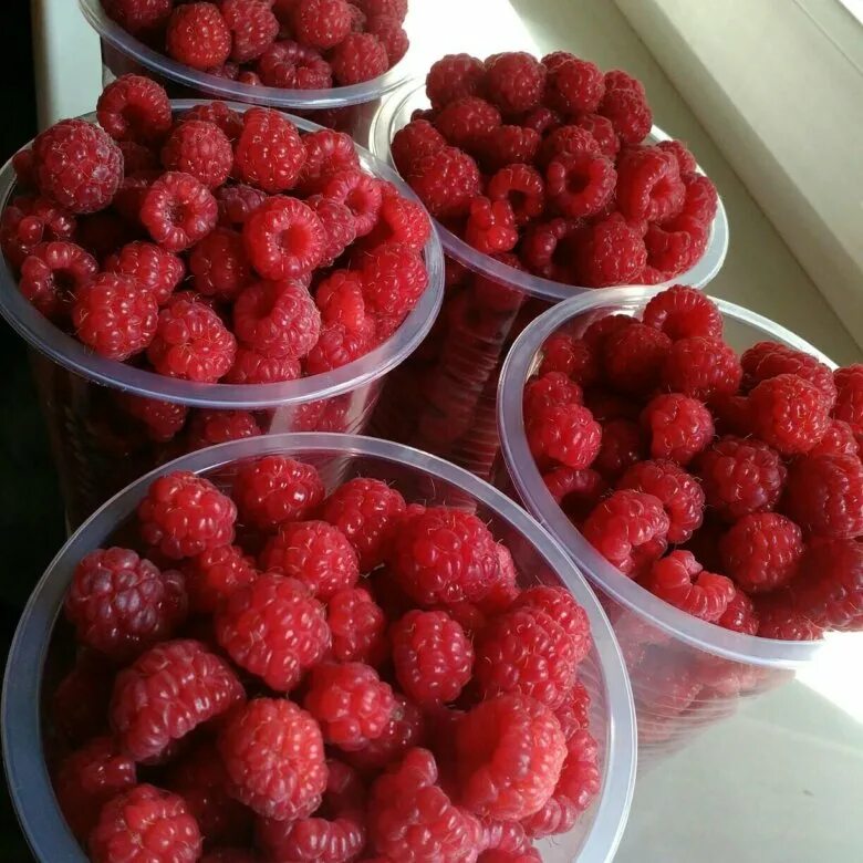 Авито малина. Ведро малины. Продается малина ягоды. Авито малина. Малина крупная сладкая.