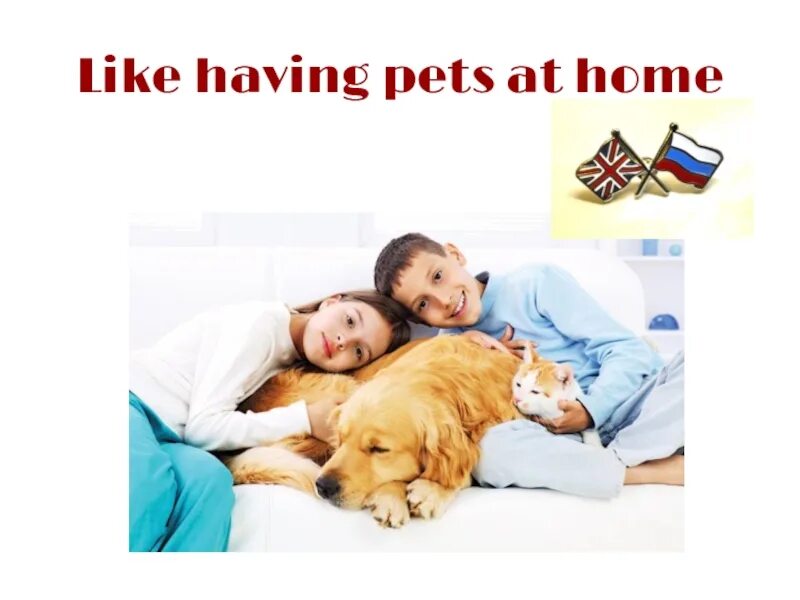 Having pets at home. Книга Pets at Home. Have a Pet. I have a Pet. Would you like to have a Pet ?.