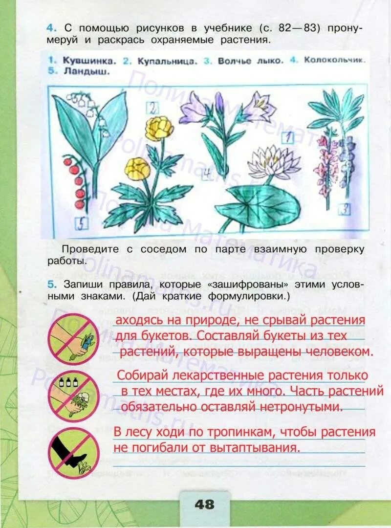 Рабочая тетрадь окружающий мир 3 класс Плешаков ФГОС школа России. Рабочая тетрадь по окружающему миру 3 класс Плешаков школа России. Окружающий мир 3 класс рабочая тетрадь страница 48. Задания по окружающему миру 3 класс.