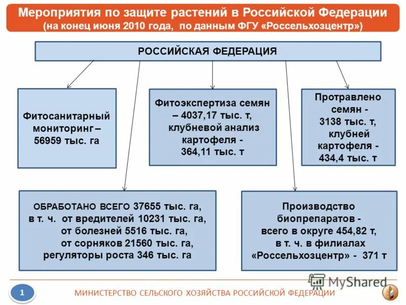 Фитомониторинг россельхозцентр. Информационные листки россельхозцентр. Фитосанитарный прогноз. Какие фитосанитарные мероприятия по защите деревьев. Фитосанитарный мониторинг россельхозцентр.