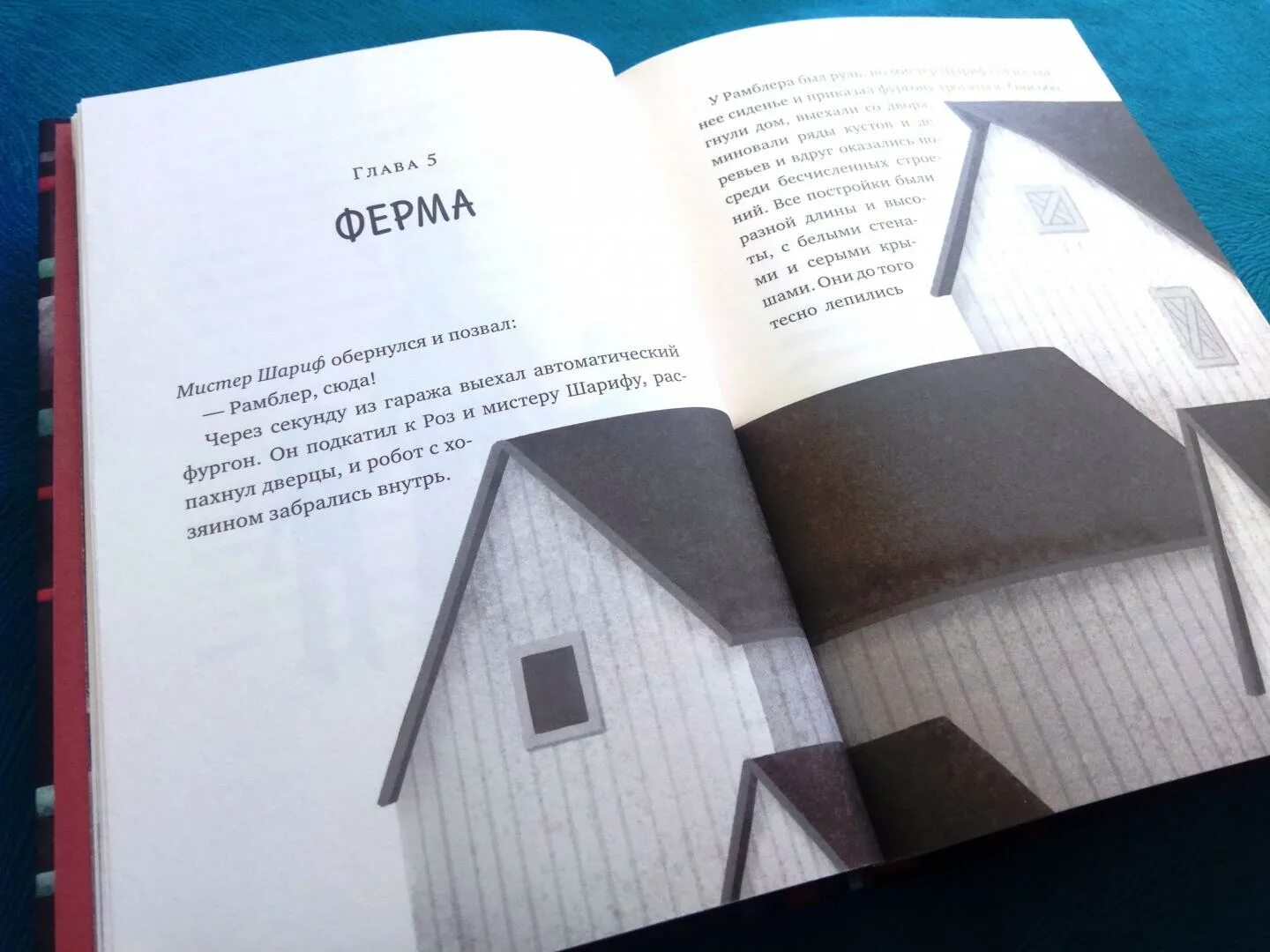 Спасение дикого робота книга. Спасение дикого робота.