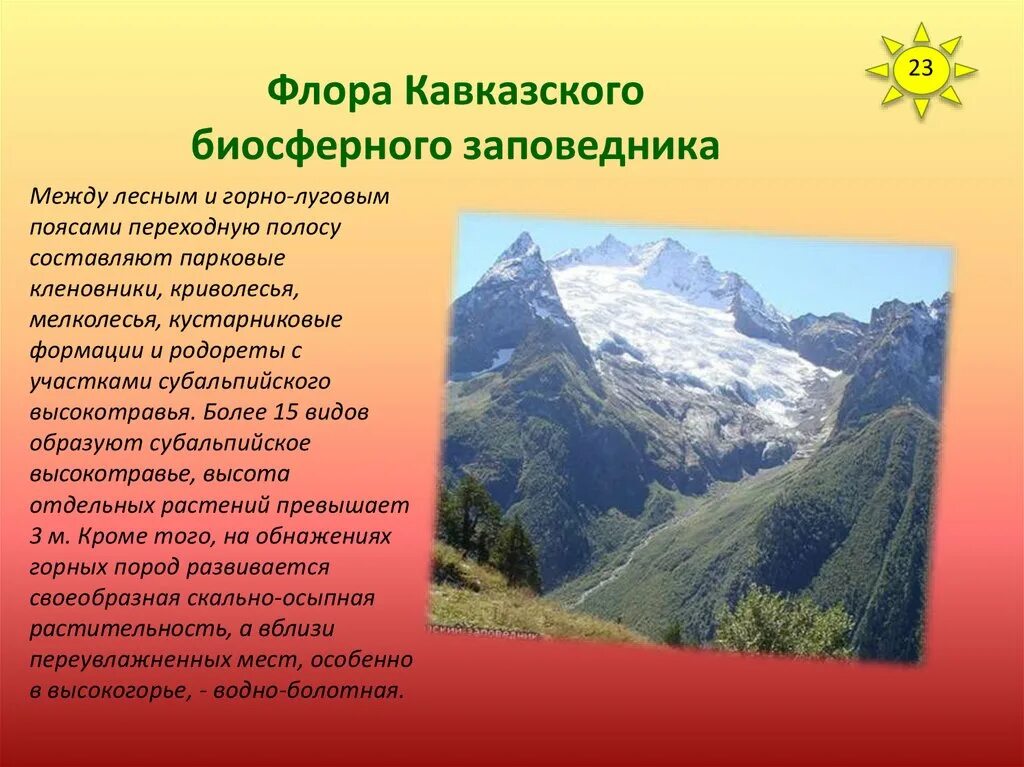 Кавказ расположен в природных зонах. Биосферный заповедник Кавказа. Кавказский заповедник презентация. Кавказский заповедник кратко.