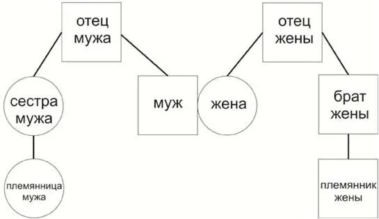 Супруг племянницы. Родословная мужа и жены. Сестра жены для мужа. Дерево жены и мужа. Племянница мужа для жены.