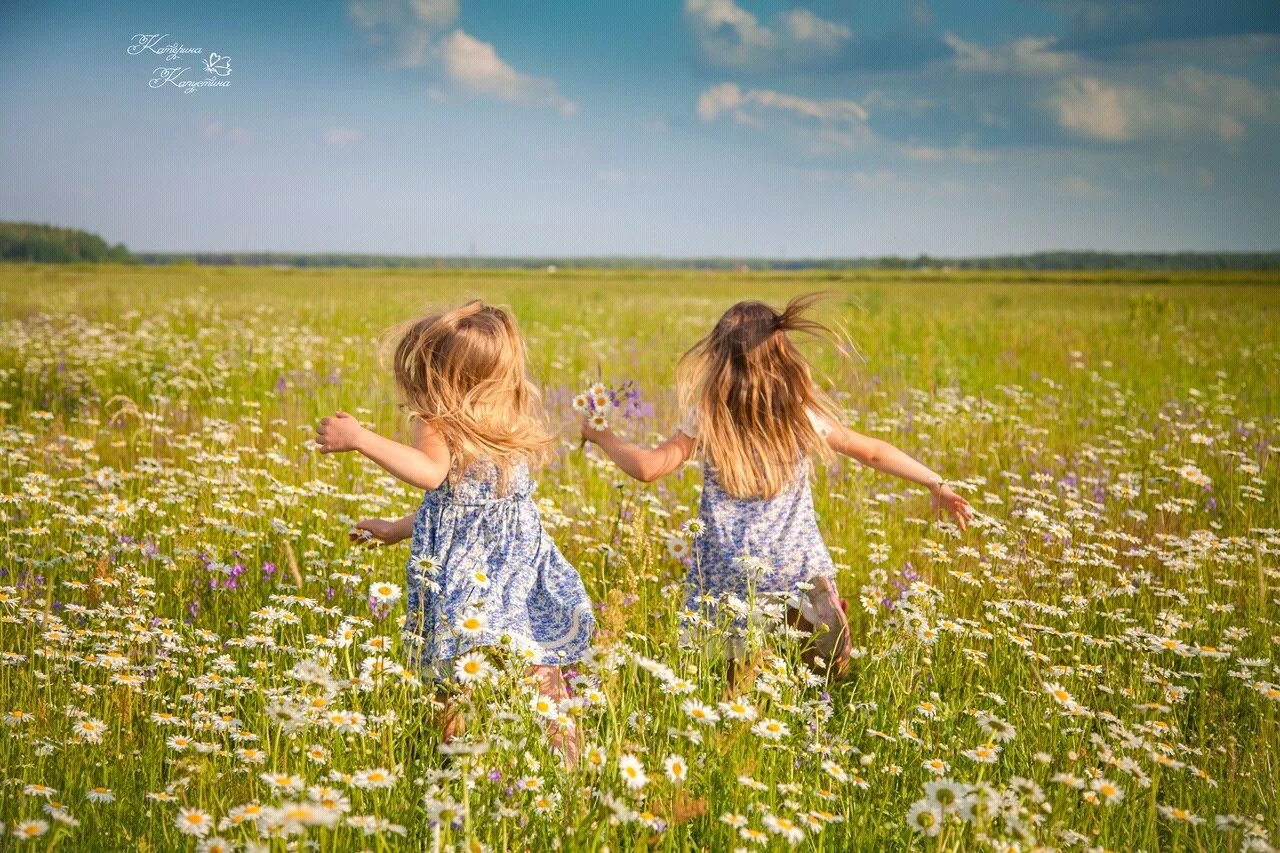 Фотосессия в ромашках. По ромашковому полю я иду одна. Дети в поле. Летние прогулки. Дети бегут по лугу.