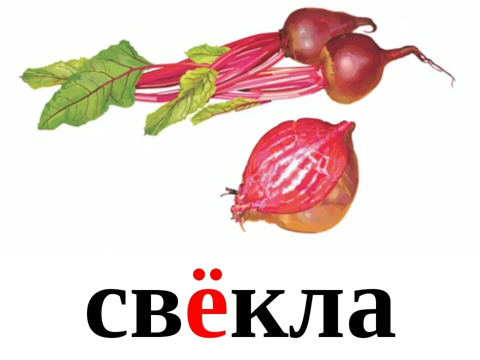 Варианты слова свекла. Слово свекла. Свекла словарное слово. Свекла ударение. Надпись свекла.