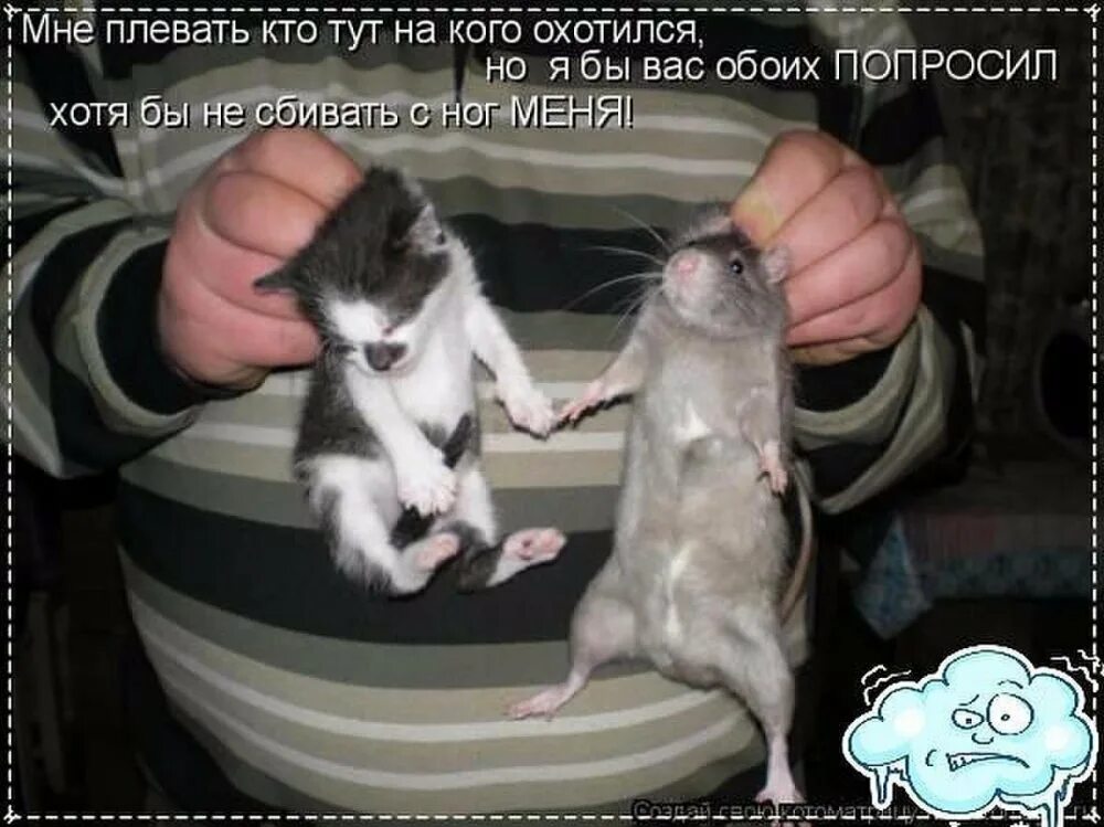 Почему тебя здесь нет