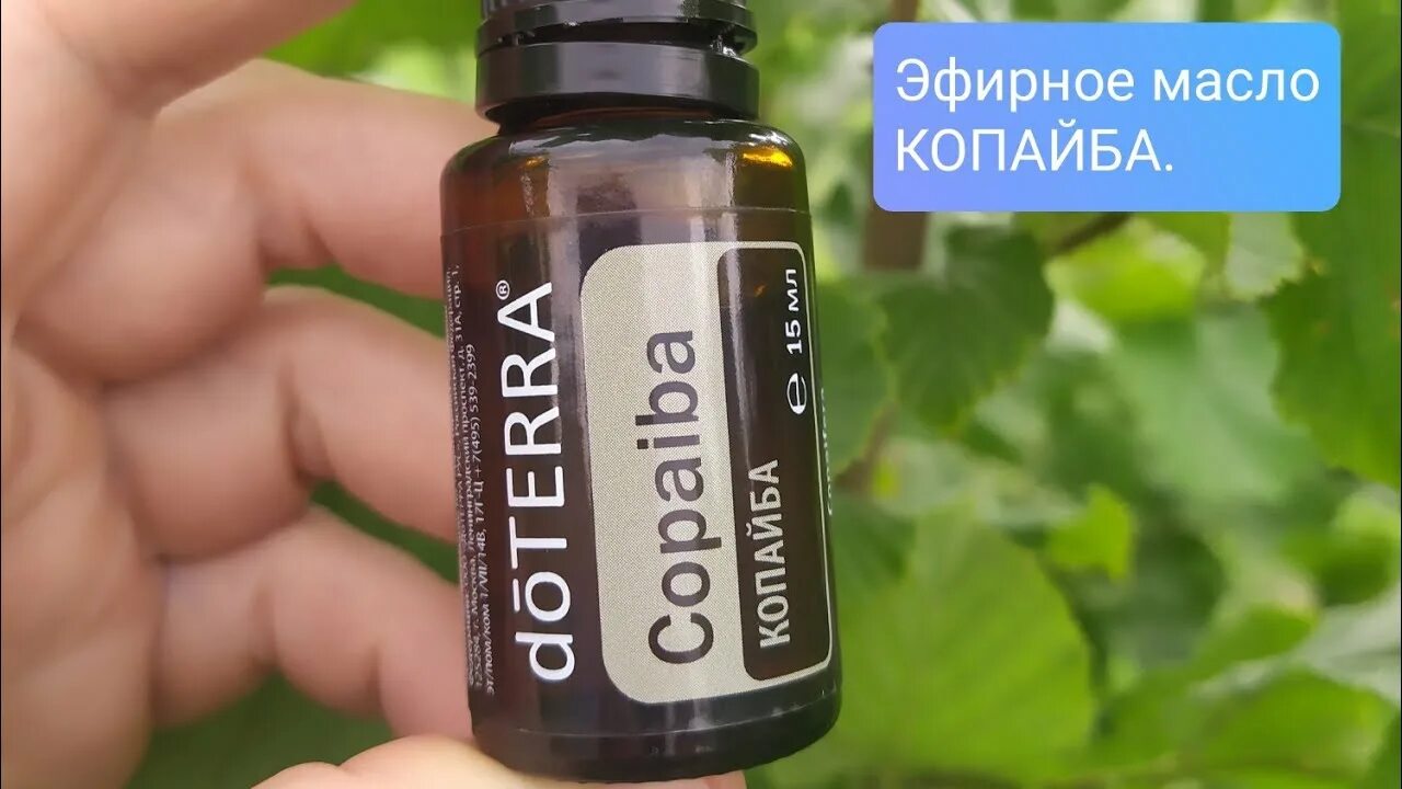 DOTERRA Копайба. Эфирное масло копайбы. Копайба ДОТЕРРА фото. Масло копайбы Дотера.