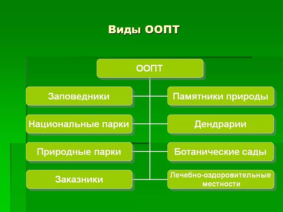 Особо охраняемые природные территории какие виды. Виды ООПТ. Особо охраняемые природные территории виды. Виды особо охраняемых природных территорий. Основные типы ООПТ.