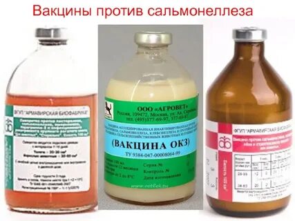 Вакцина окз инструкция по применению