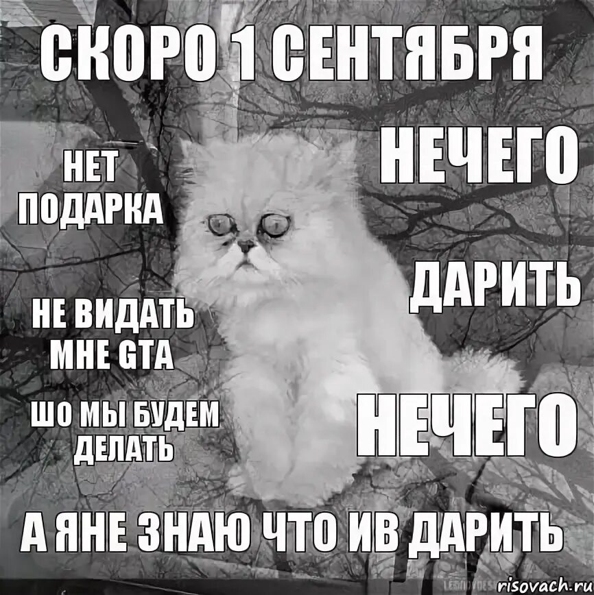 Ничего подари