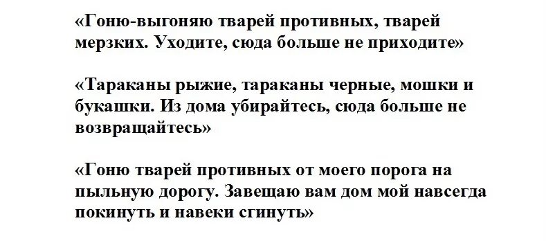 Молитва от тараканов. Молитва от тараканов в квартире. Тараканы заговор. Заговор от тараканов в квартире