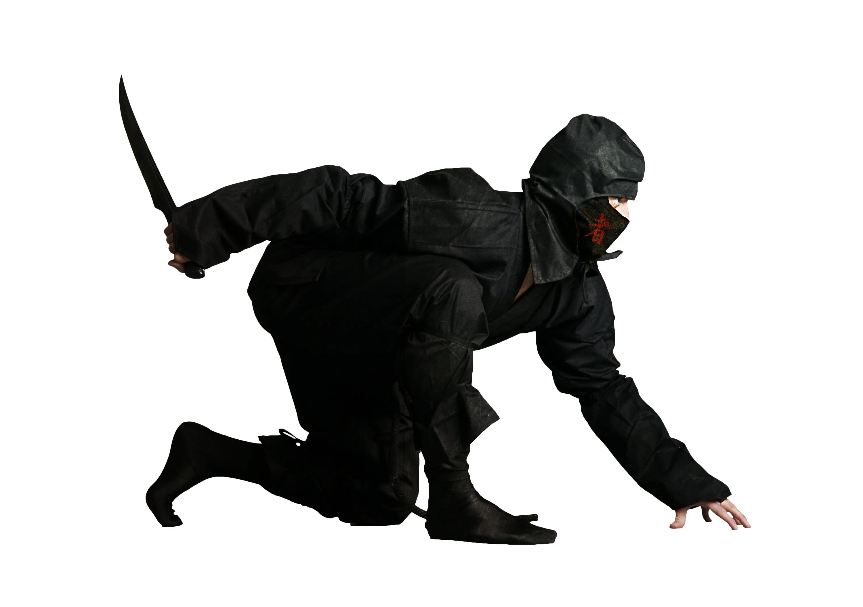 Ninja t. Ninja t. Кот ниндзя арт. Воины тени ниндзя и ниндзюцу. Ниндзя воины тени.