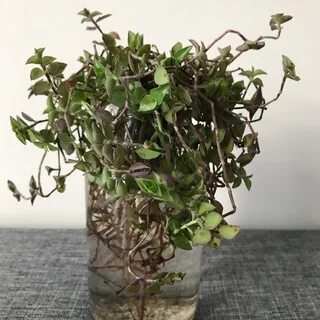 Коллизия уход