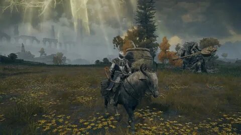 Дерево элден