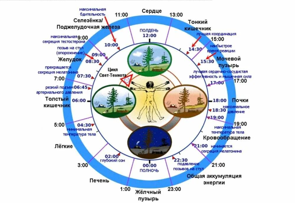 Системы после в течении дня